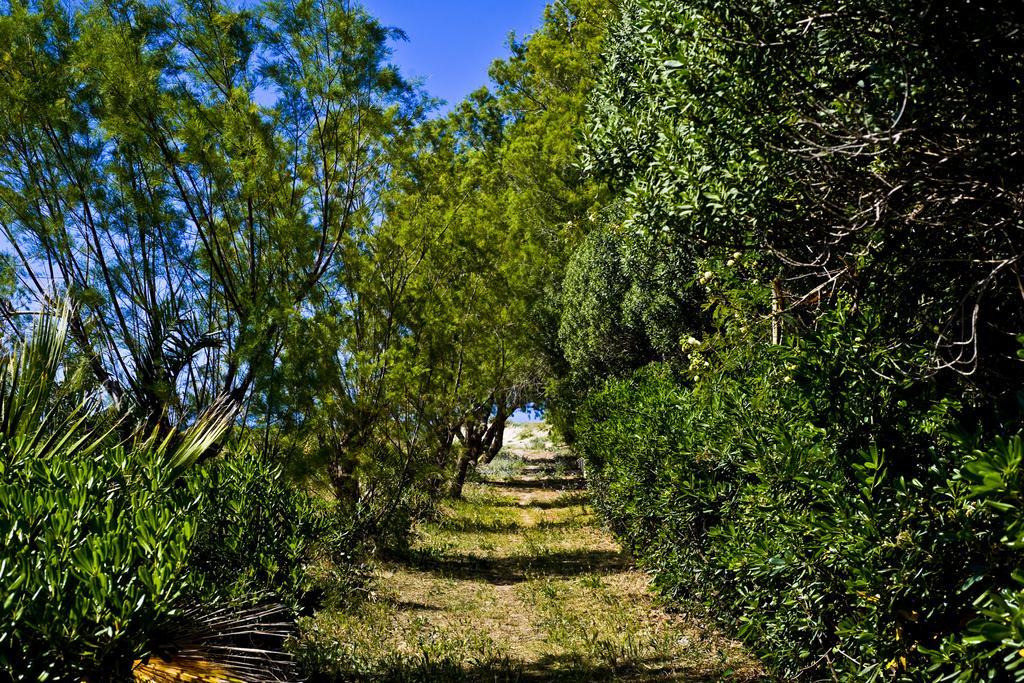 Chrissas Apartments Rethymno  Bagian luar foto